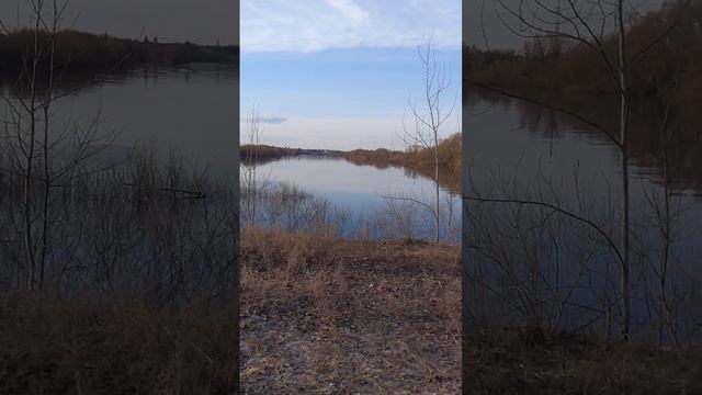 Пересохшее озеро ожило! 😱 смотреть онлайн