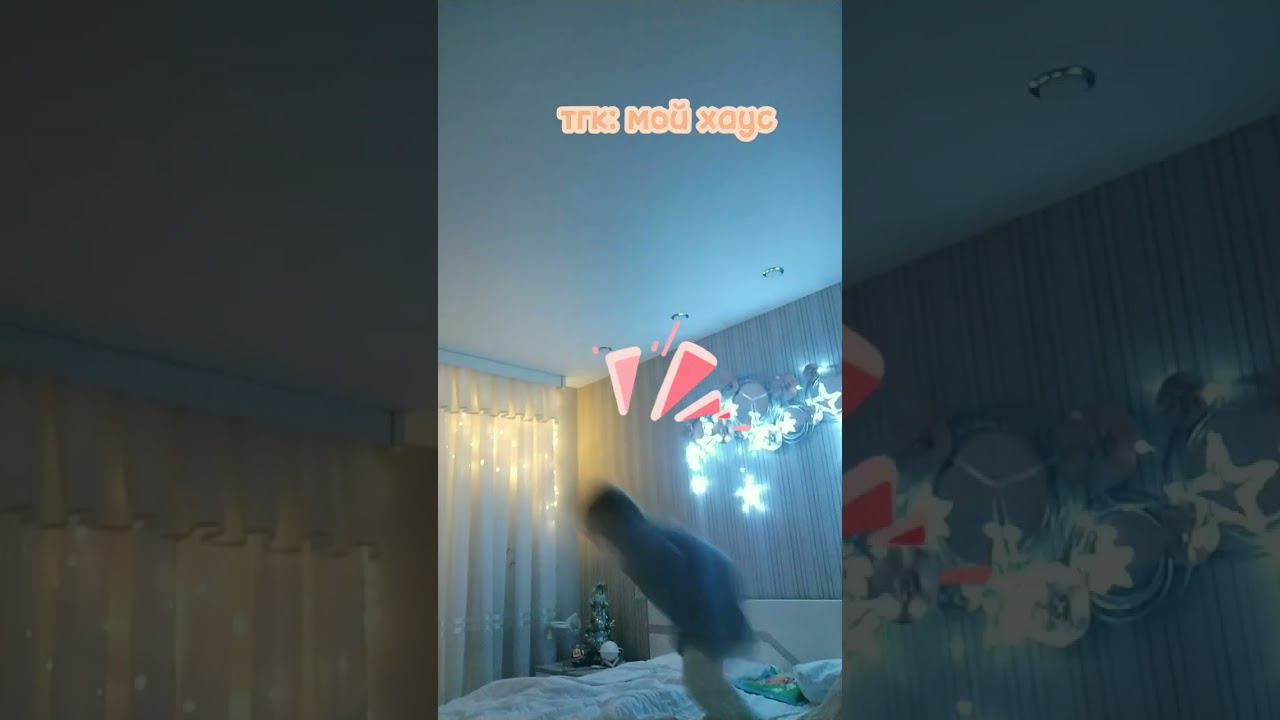 на ночёвке у бабушки #quadrobics #flip #therian #therianpride #квадробика #спорт #териантропия #рек смотреть онлайн