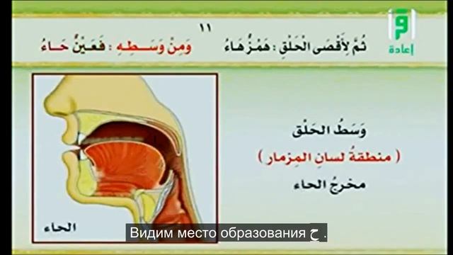6. Места образования букв غ , خ , ع , ح , هـ , ء | Айман Сувейд (русские субтитры) смотреть онлайн