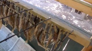 Уклейка вяленая