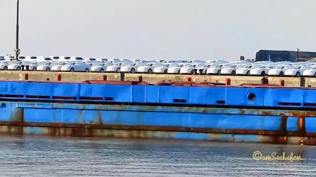 SORMOVSKIY 3051 UILG IMO 8222367 Emden cargo seaship merchant vessel Seeschiff смотреть онлайн