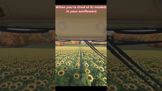 Removing IG Models from Your Sunflowers in #FarmingSimulator22 #FS22 смотреть онлайн