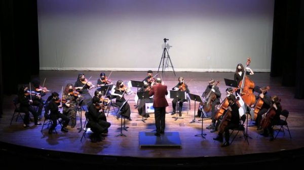 Sealed Vessel from Hollow Knight, Christopher Larkin