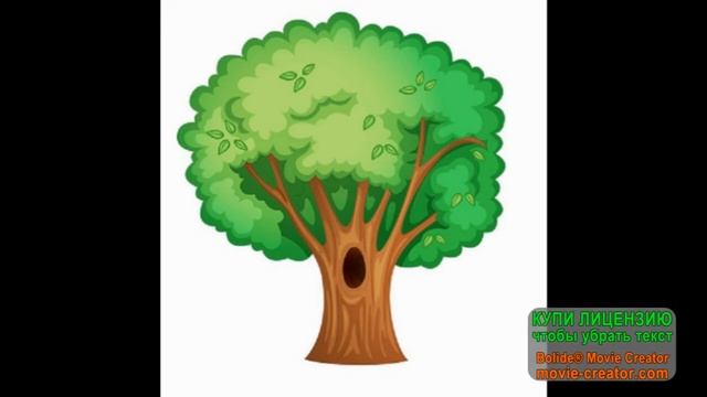 Сова и зозуля високи та низкі звуки смотреть онлайн