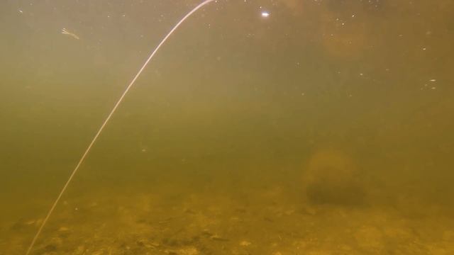 БЛЕСНА-ЦИКАДА LUREMAX TANUKI - ДЛЯ ЛЕТНЕЙ И ЗИМНЕЙ РЫБАЛКИ смотреть онлайн