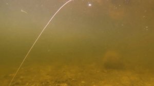 БЛЕСНА-ЦИКАДА LUREMAX TANUKI - ДЛЯ ЛЕТНЕЙ И ЗИМНЕЙ РЫБАЛКИ