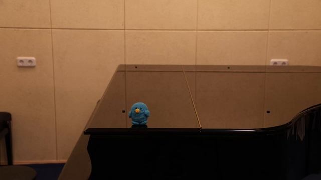 Canon R8.Тест автофокуса в темном помещении)