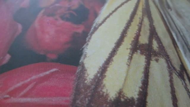 Примерка индивидуального макета.EXAMPLE individual layout. смотреть онлайн