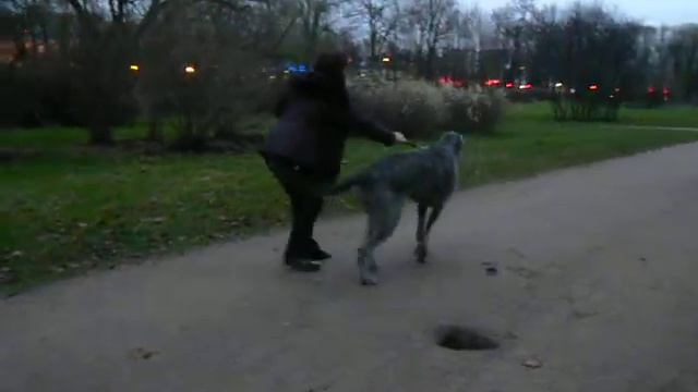 медея3 смотреть онлайн