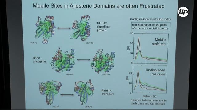 Frustration in proteins (minicourse) part 3 - Diego Ferreiro смотреть онлайн