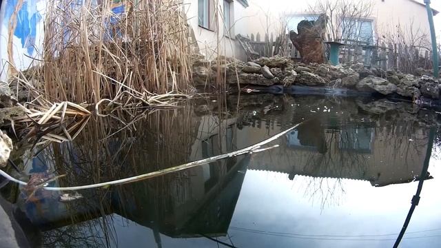 Три признака, когда весной следует начинать очистку пруда. смотреть онлайн