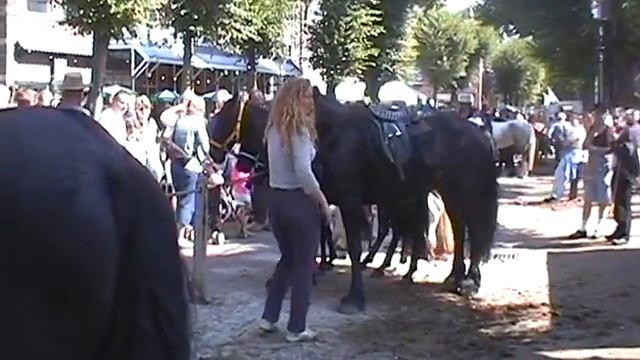 Paardenmarkt voorschoten 2001 смотреть онлайн