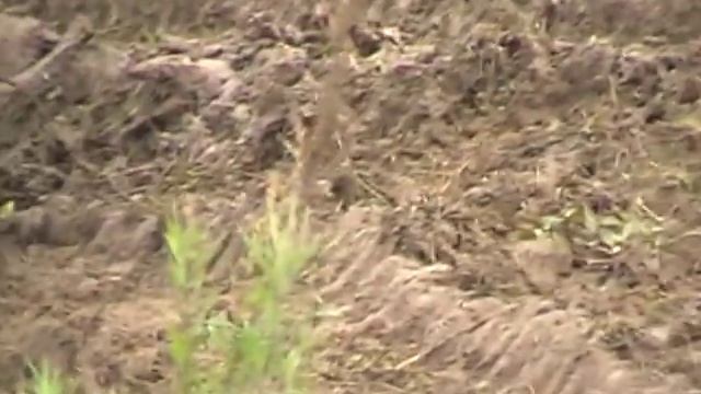 Электроквадроцикл и грязь! смотреть онлайн