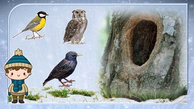 Чому птахи в'ють гнізда. 2 клас. (ЯДС) смотреть онлайн