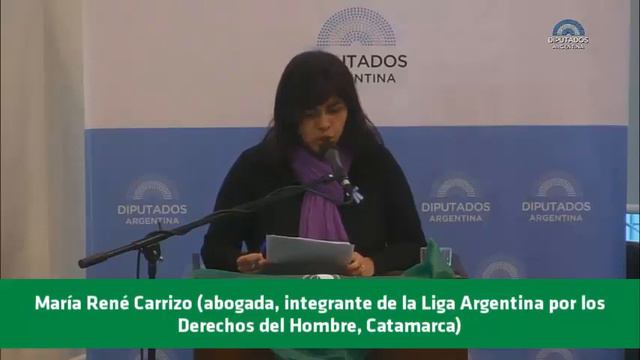 Exposición de María René Carrizo смотреть онлайн