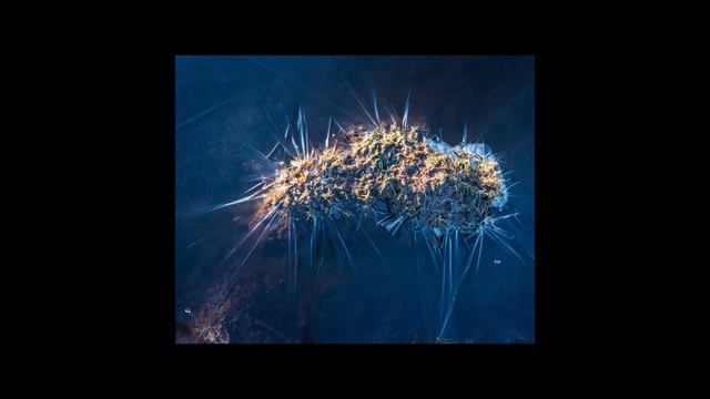 Jutland II Interview on Danish Radio P4, 18th of may 2020 - ENG subs смотреть онлайн