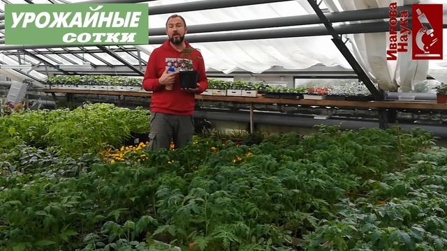 А что, так можно? Безопасная посадка рассады в холодную землю. смотреть онлайн