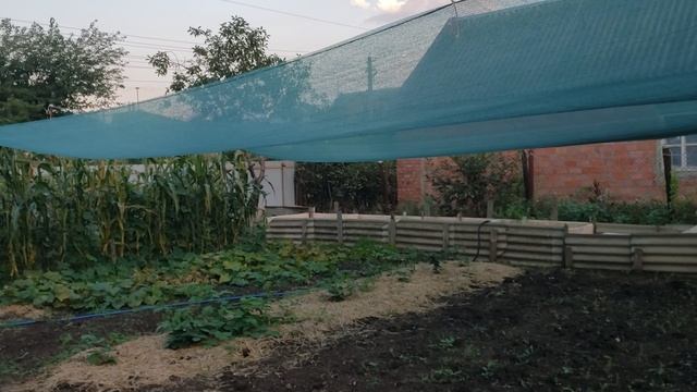 Планировка участка под посадку клубники, малины и ежевики на одной сотке. смотреть онлайн