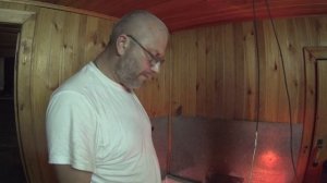 определить пол курица или петух Ломан Браун