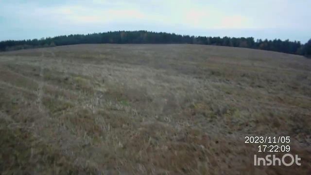 Regulmoto crosstrec 300. Покатушка по лесу. Часть 1 смотреть онлайн