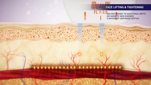 Dual HI - GTG Wellness смотреть онлайн