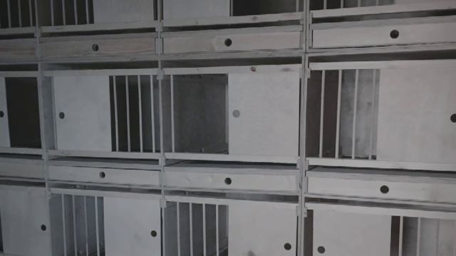 Гнёзда для голубей. Оборудование для голубятни смотреть онлайн