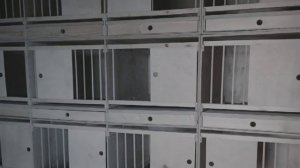 Гнёзда для голубей. Оборудование для голубятни