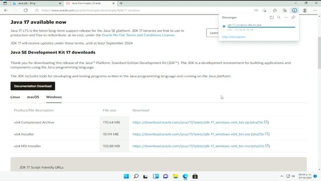 Java JDK | Windows 11 смотреть онлайн
