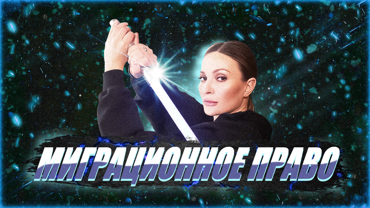 Миграционное право. Анастасия Кашеварова. смотреть онлайн