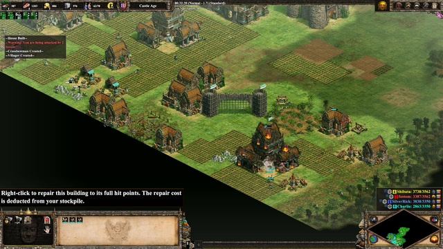 AOE2 DE: Ranked 2v2: Amazon Tunnel - Early aggression surprise смотреть онлайн