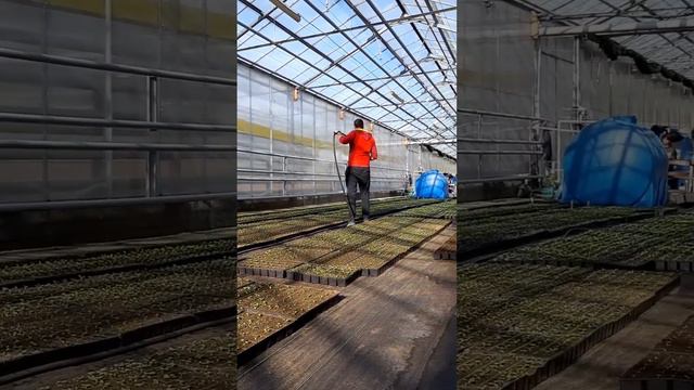 4 февраля 2023 г. смотреть онлайн