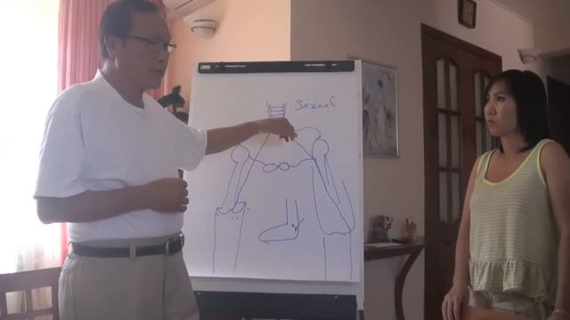 Seminar GM Ly Hong Thai, Hong-gia Vietnam Волгоград 2014г смотреть онлайн