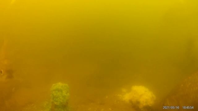 ? Реакция рыбы на СЛИВУ: натуральную и сухой ароматизатор активатор клёва. Подводная съемка рыбалки смотреть онлайн