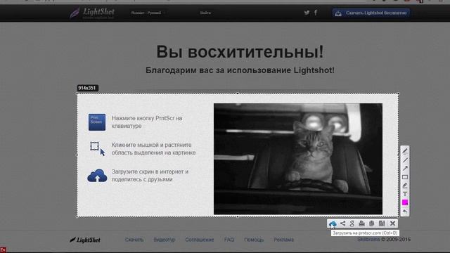 Как быстро сделать скриншот на ПК. Программа Lightshot смотреть онлайн