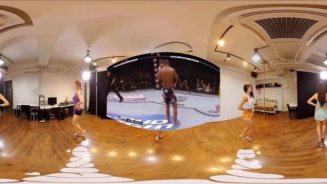 Daniel Cormier Vs Roy Nelson Full Fight Night Result FULL SCREEN - UFC 166