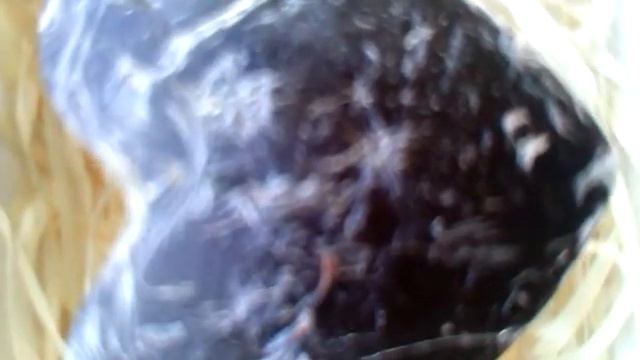 видео про лечебные свойства корицы смотреть онлайн