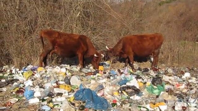 АИ-95 Danone.avi смотреть онлайн