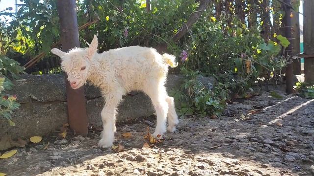 Волноваха 2022 смотреть онлайн