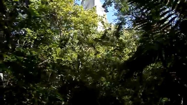 Mayan Ruins of Tikal - Flores, Peten Guatemala - 22 смотреть онлайн