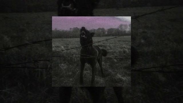 Particles - Give me the test of a hundred man ( tren twins ) - slowed смотреть онлайн
