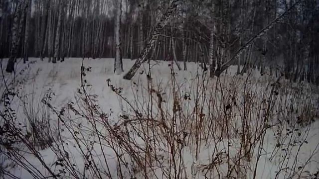 Для того, кто умел верить. Любимые песни. Простое, настоящее смотреть онлайн