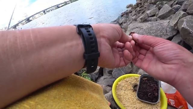 Фидер летом в городе. Рыбалка на Днепре. Поклевки огромных лещей! смотреть онлайн