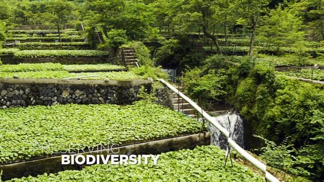 Globally Important Agricultural Heritage Systems