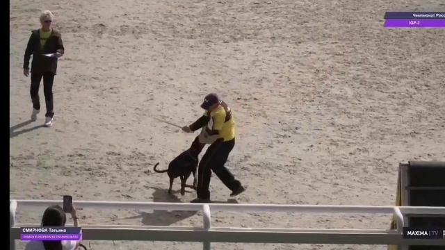 Чемпионат России по IGP-3.