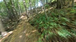 На электровелосипеде SMLRO 500w 48v по трассе для MTB