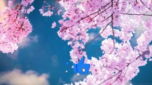 Поздравления с Днем Рождения Светлане! Оригинальные пожелания под музыку! С праздником, Света!