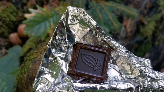 Кофе в горах | The most delicious coffee in Transcarpathia смотреть онлайн