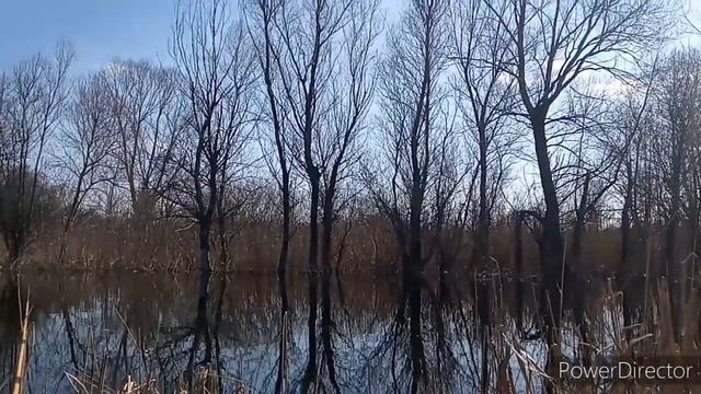 Рыбалка в карантин. смотреть онлайн