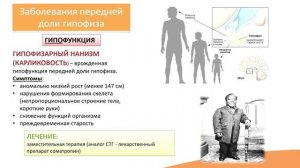 6.1. Заболевания гипофиза