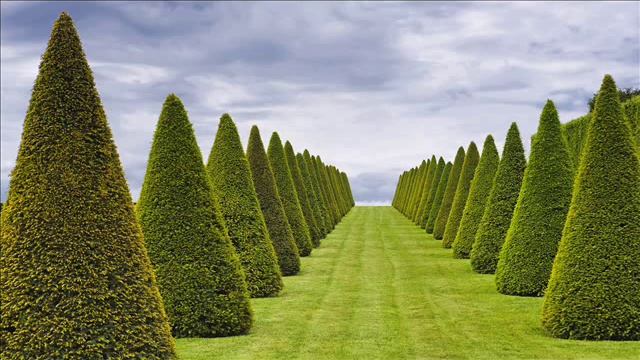 Медитация "Кристалл Души" смотреть онлайн